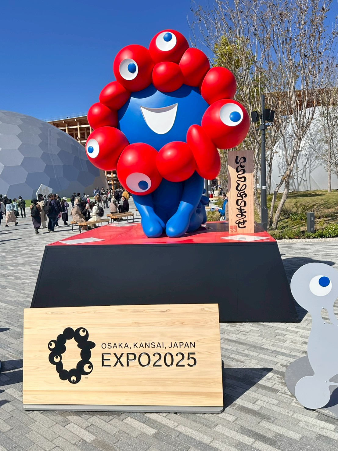 5235570de6ff35f72299fe201aeab5